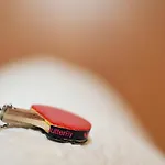 Sporthotel Borussia Duesseldorf